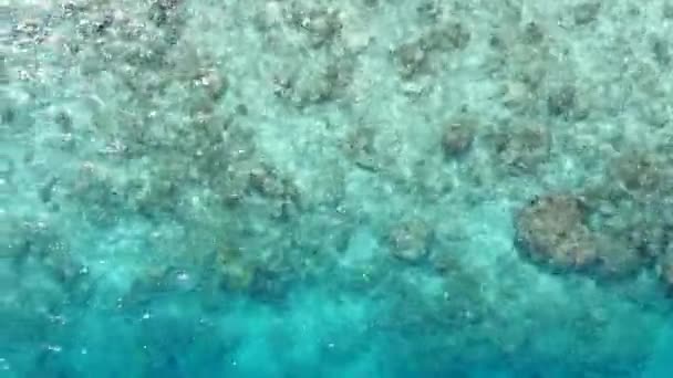 Sunny θαλασσογραφία τροπικό θέρετρο παραλία ταξίδι με μπλε πράσινο ωκεανό και λευκή άμμο φόντο στο φως του ήλιου — Αρχείο Βίντεο