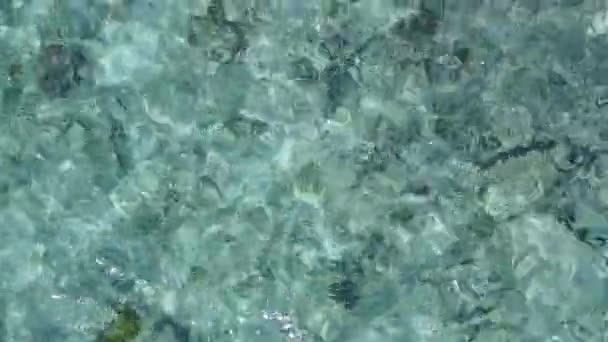 Ρομαντικό θαλασσογραφία του παραδείσου παραλία άγριας ζωής από μπλε πράσινο ωκεανό με λευκό αμμώδη φόντο κοντά sandbar — Αρχείο Βίντεο