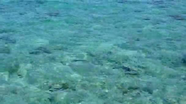 アクアブルーの海とサンゴ礁の近くの白い砂浜の背景によるエキゾチックな観光ビーチの休暇の空の風景 — ストック動画
