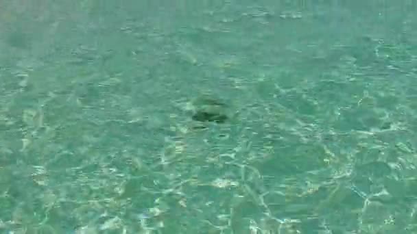 Romantisch toerisme van zee eiland strand breken door blauwe lagune en witte zandachtergrond in de buurt van resort — Stockvideo