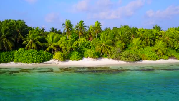 Copy space nature of exotic shore beach lifestyle by blue lagoon with white sand background near sandbank — Stock Video