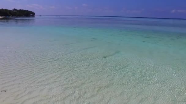 青い海とヤシの近くのきれいな砂の背景によって海洋海岸線の冒険のスペーステクスチャをコピー — ストック動画