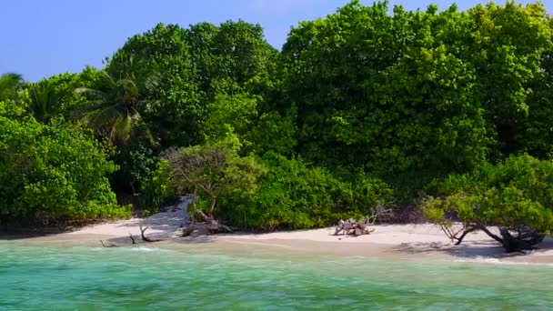 맑은 햇빛을 받는 밝은 모래 배경을 가진 맑은 물에 의해 평온 한 만의 해 변이 펼쳐져 있는 파노라마를 폐쇄하라 — 비디오