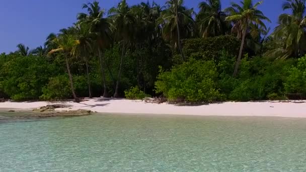 Gros plan paysage de littoral exotique plage temps par bleu océan et fond sablonneux blanc près de palmiers — Video