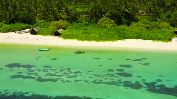 맑은 바 다 와 하얀 모래를 배경으로 아름다운 해안선 여행을 하는 공중 드론 파노라마 — 비디오
