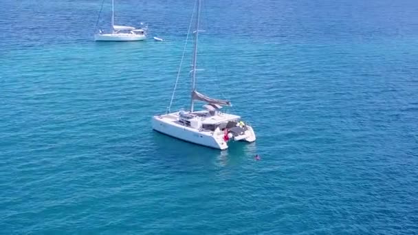 Panorama ad ampio angolo dell'idilliaco viaggio sulla spiaggia dell'isola da un oceano poco profondo e da uno sfondo di sabbia bianca vicino alle palme — Video Stock