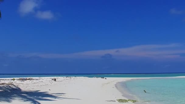 Soleado resumen de idílico viaje de playa de costa por océano turquesa con fondo de arena blanca cerca de palmeras — Vídeo de stock