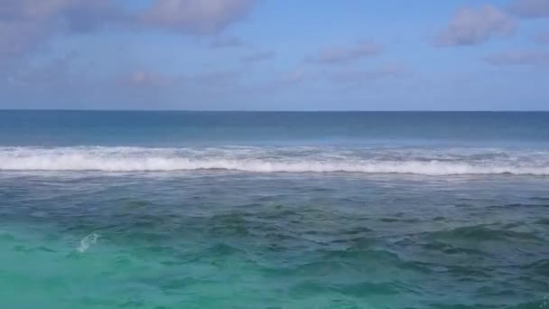Drone kilátás természet tengeri lagúna strand vadon élő állatok által aqua kék tenger fehér homokos háttér — Stock videók