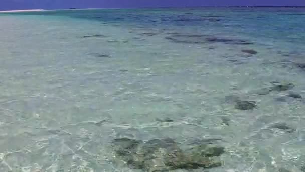 Nahaufnahme von einem ruhigen Strandabenteuer am blaugrünen Meer mit hellem Sandhintergrund in der Nähe von Palmen — Stockvideo