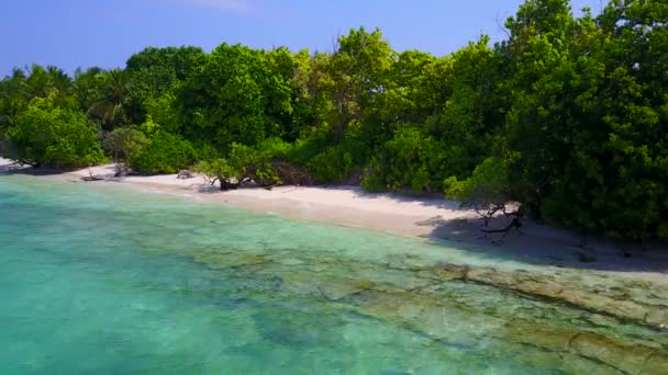 Warme Abstraktion von entspannten Küstenstränden Wildtiere durch türkisfarbene Lagune mit weißem Sandhintergrund nach Sonnenaufgang — Stockvideo