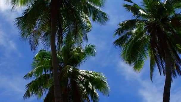 Cerca de la naturaleza del estilo de vida de playa con vista al mar tropical junto a la laguna azul aguamarina y el fondo de arena blanca cerca de las palmeras — Vídeos de Stock