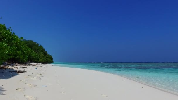 Paesaggio estivo di spiaggia di lusso fauna selvatica da laguna blu e sfondo di sabbia bianca vicino surf — Video Stock