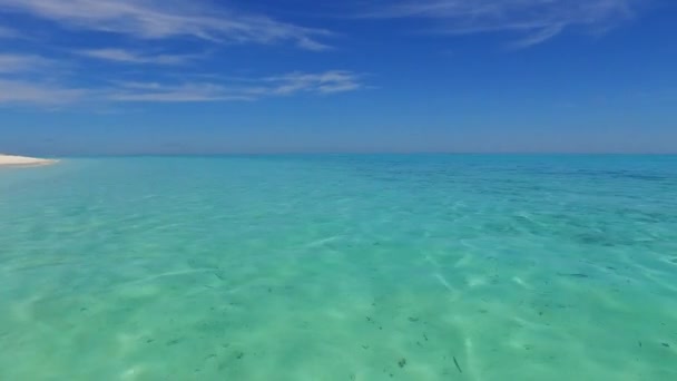 在棕榈附近的蓝海和白沙背景下，阳光明媚的海洋景观海滩时间 — 图库视频影像
