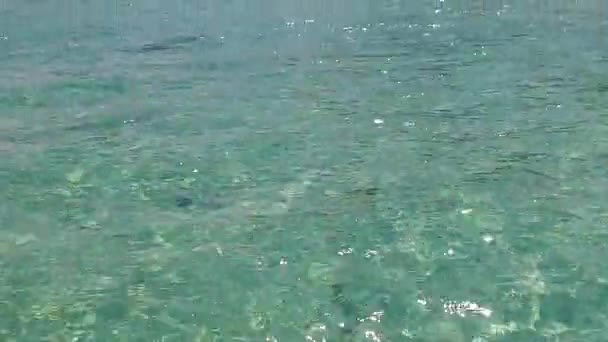 Romantische Textur eines entspannenden touristischen Strandabenteuers durch blaugrünes Wasser mit weißem Sandhintergrund vor Sonnenuntergang — Stockvideo
