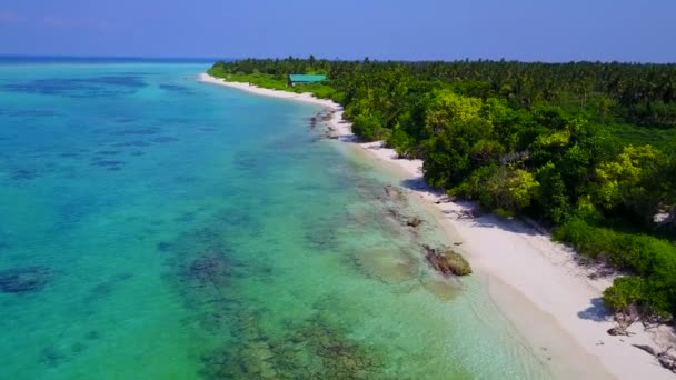 Летний туризм идеальный отдых на пляже у синего зеленого океана с чистым песчаным фоном рядом с пальмами — стоковое видео