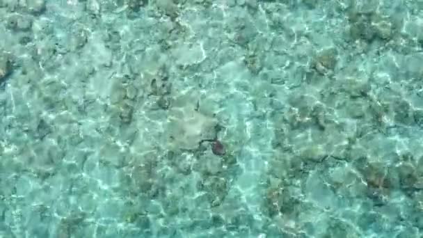 Ρομαντικό αφηρημένη τροπική παραλία χρόνο από aqua μπλε νερό και λευκή άμμο φόντο στο φως του ήλιου — Αρχείο Βίντεο
