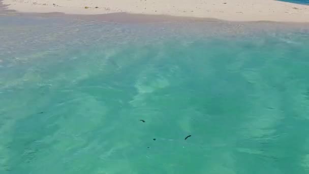 산호초 근처에 하얀 모래사장이 있는 푸른 바다에 의한 호화 로운 만 해변 여행의 넓은 각도 — 비디오