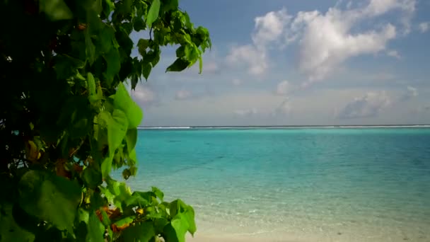 青い海と日差しの中で明るい砂の背景によってリラックスした海の景色のビーチの航海のロマンチックな質感 — ストック動画