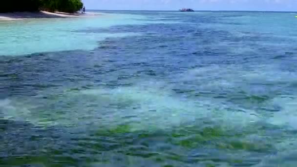 야자나무 근처에 있는 맑은 바 다 와 하얀 모래사장을 배경으로 열 대 초호의 해 변 여행을 하는 복사 된 우주 경관 — 비디오