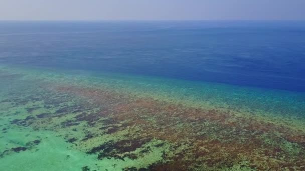 Cielo diurno di idilliaca spiaggia spiaggia fauna selvatica da blu mare verde e sabbia pulita sfondo vicino alle onde — Video Stock