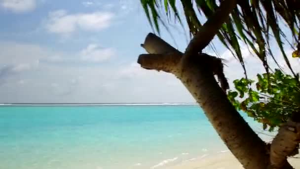 Ampio angolo paesaggio di tranquilla spiaggia costiera stile di vita da blu oceano e sabbia bianca sfondo vicino a banco di sabbia — Video Stock