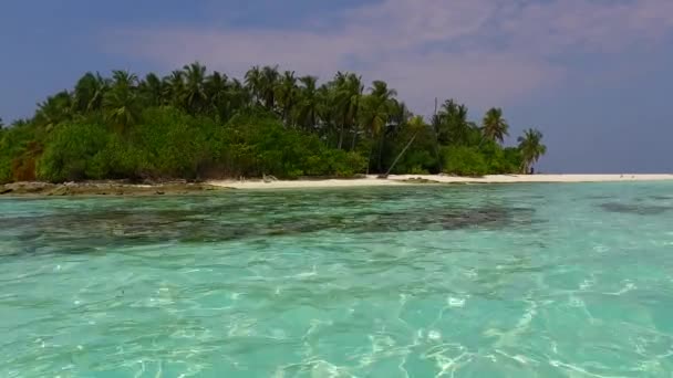 Luchtfoto drone natuur van perfecte strand flora en fauna door blauwe lagune en helder zand achtergrond — Stockvideo