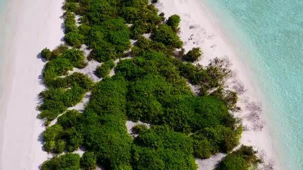 Paysage grand angle de vacances exotiques sur la plage au bord de la mer par l'océan bleu avec fond sablonneux blanc près du récif — Video