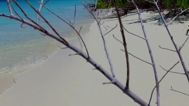 Tropikal sahil sahili yaşam tarzının romantik manzarası. Su mavisi okyanus. Palmiyelerin yanında beyaz kumlu arka plan. — Stok video
