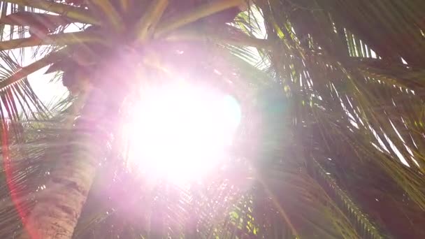 Sunny textúra paradicsom üdülőhely strand nyaralás kék zöld óceán fehér homok háttér közelében homokbár — Stock videók