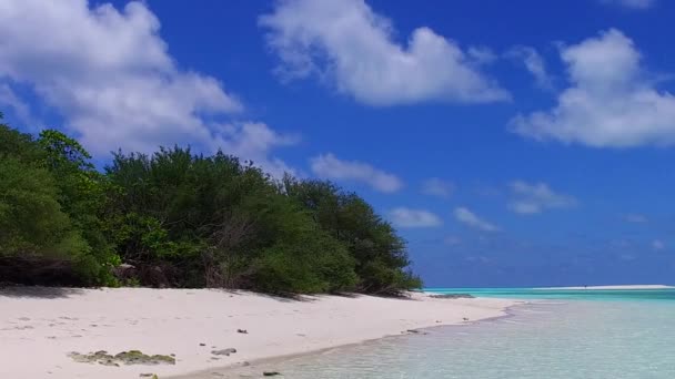 Közelkép tengerparti strand vadon élő állatok kék víz fehér homok háttér közel tenyér — Stock videók