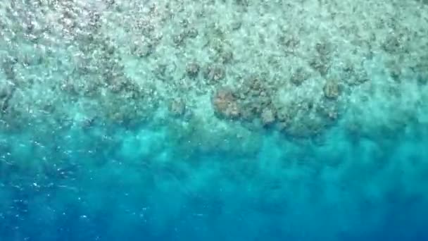 Caldo astratto di bella spiaggia turistica stile di vita da oceano chiaro con sfondo di sabbia bianca vicino banco di sabbia — Video Stock