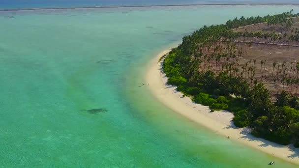 Daytime travel of luxury tourist beach trip by blue ocean and white sand background near sandbank — Stock Video