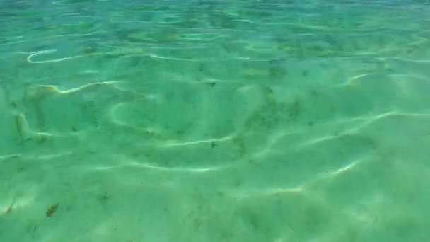 Deniz lagününün güneşli turizmi açık okyanusu aşıyor ve beyaz kum arka planda sörf yapıyor. — Stok video