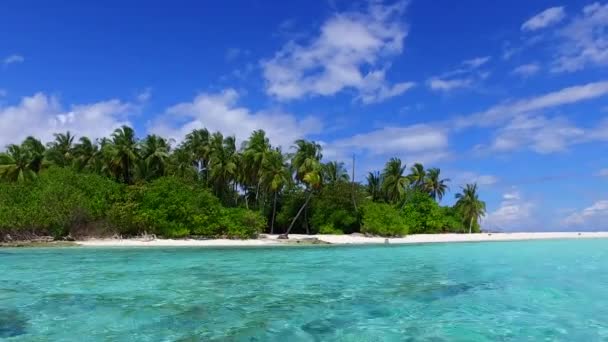 Солнечная природа пляжного путешествия по бирюзовому морю с белым песком на фоне пальм — стоковое видео