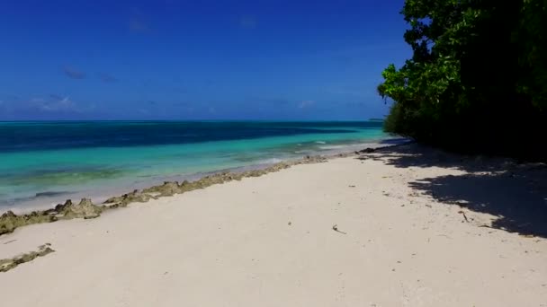 Sonniger Himmel der perfekten Küste Strand Pause durch aqua blauen Ozean und weißen Sand Hintergrund in der Nähe von Palmen — Stockvideo