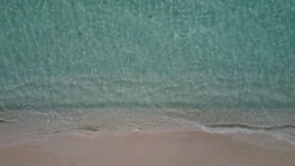 Natureza ensolarada da exótica lagoa praia vida selvagem por mar azul e fundo arenoso branco antes do pôr do sol — Vídeo de Stock