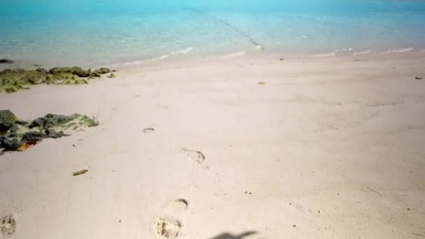 Overdag textuur van perfecte baai strand breken door helder water en schoon zand achtergrond in de buurt van zandbank — Stockvideo