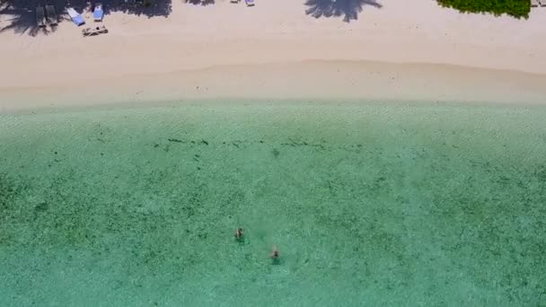 Sonnige abstrakte von idyllischen Lagune Strand Pause durch blaues Meer mit weißem Sand Hintergrund in der Nähe von Palmen — Stockvideo