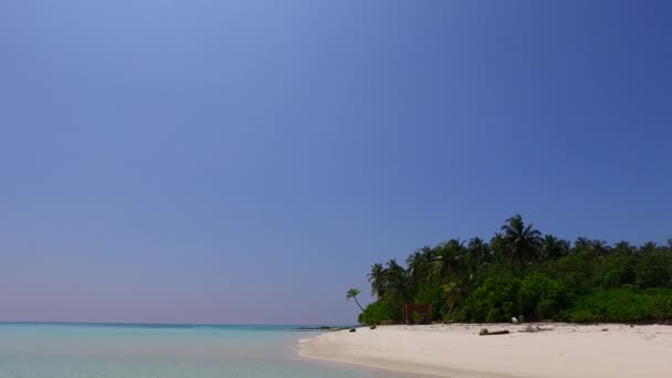 Astratto diurno del resort perfetto viaggio in spiaggia dall'oceano blu e sfondo di sabbia bianca alla luce del sole — Video Stock