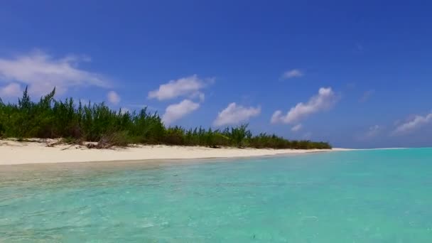 Ampio angolo cielo marino turistico spiaggia stile di vita da acqua blu oceano con sfondo di sabbia bianca vicino palme — Video Stock