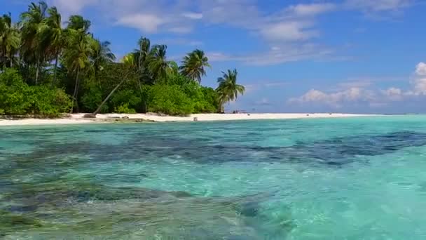 Yaz gökyüzü egzotik körfez plajı yaban hayatı mavi su ve kumsalın yanındaki beyaz kumlu arka plan — Stok video