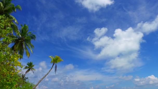 Natureza ensolarada da idílica praia litorânea estilo de vida por água azul com fundo arenoso limpo perto de palmas — Vídeo de Stock