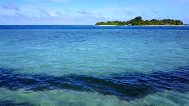 Abstrato de ângulo largo do mar vista praia vida selvagem por azul água verde com fundo arenoso branco perto de restinga — Vídeo de Stock