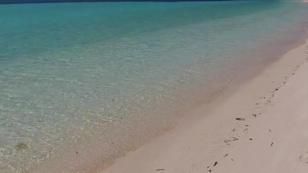 Viaje diurno de lujo playa resort fauna por el océano turquesa y fondo de arena blanca cerca de las olas — Vídeos de Stock