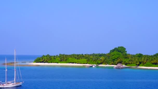 Luchtfoto landschap van rustige kust strand fauna door helder water en wit zand achtergrond — Stockvideo