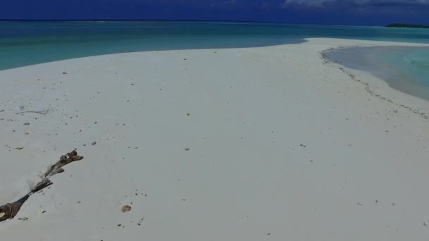 Copier espace nature du littoral marin plage faune par mer bleue avec fond de sable blanc près du banc de sable — Video