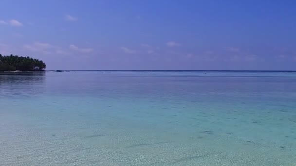 Overdag natuur van perfect uitzicht op zee strand fauna door blauwe zee en schoon zand achtergrond in de buurt palmen — Stockvideo