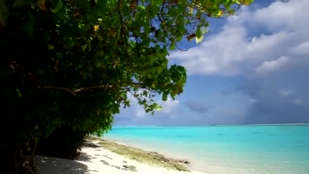 Viaje diurno de hermosa costa playa fauna por mar azul con fondo de arena blanca cerca de palmeras — Vídeos de Stock
