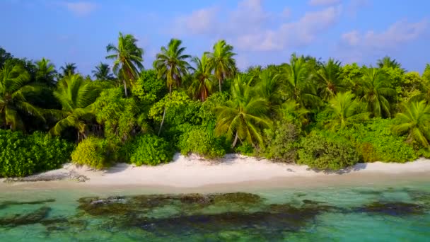 Warm landschap van tropische kust strand wilde dieren door de blauwe oceaan met schoon zand achtergrond in de buurt van rif — Stockvideo