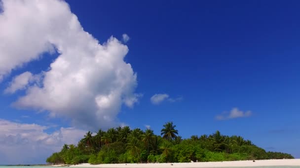 Viaggio ad ampio angolo della laguna marina vacanza al mare poco profondo con sfondo di sabbia bianca vicino alle palme — Video Stock